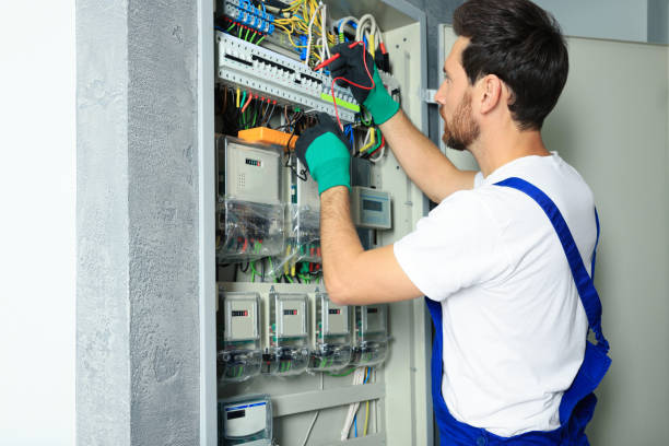 Best Generator Installation Services  in Silver Grove, KY
